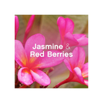 Lenor Wellbeing Collection Jasmine & Red Berries Bursts Of Freshness Conditioner (3.88L - 194 Washes)