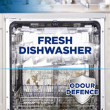 Finish Dishwasher Machine Cleaner