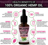 Hemp Oil Extract for Pain, Anxiety & Stress Relief – 220,000MG / 30ML – Organic Hemp Oil for Better Mood, Vitamins & Fatty Acids - Best Herbal Skin Care Supplement. - shopperskartuae