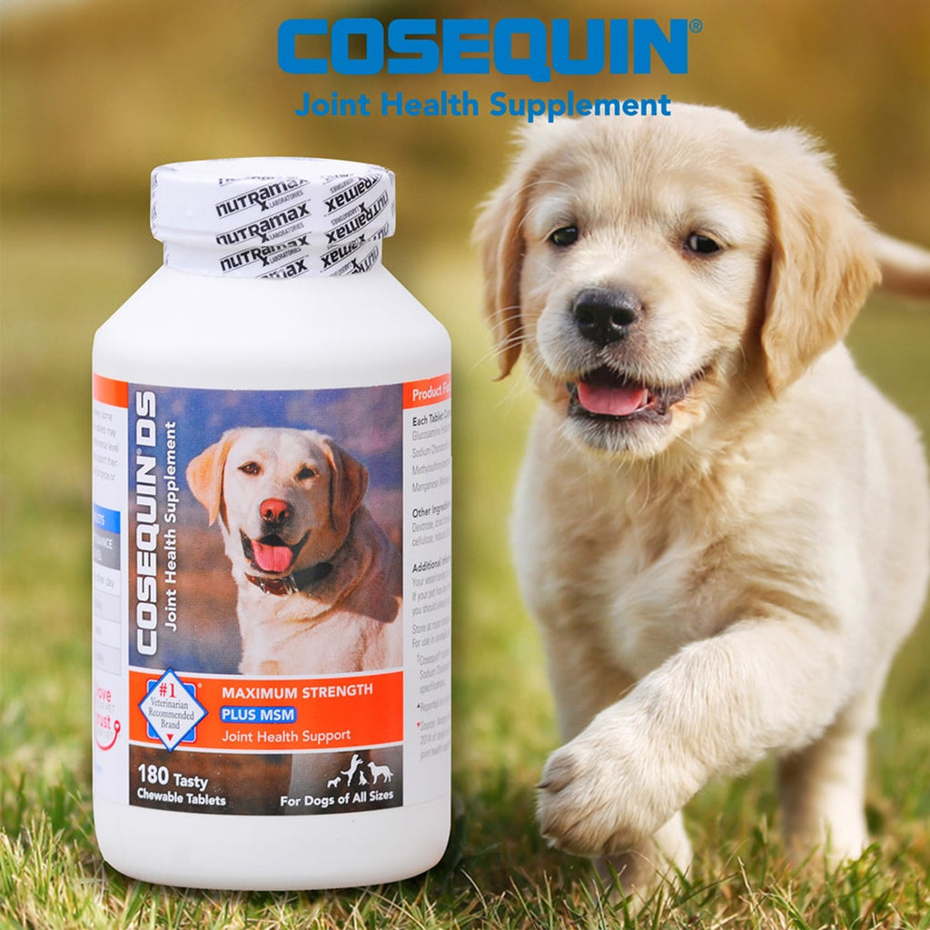 Cosequin ds plus msm joint health supplement for dogs clearance 180 tablets