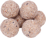 Nature's Feast Fruit and Berry Energy, Suet, Fat Balls For Wild Birds, Pack of 6
