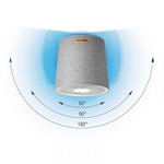 Stadler Form – Simon White Fan