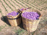 Kirkland Signature La Mancha Spanish Saffron (1 Gram). - shopperskartuae