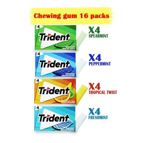 Trident Sugar Free Chewing Gum Long Lasting Whew And Multiple Flavors, 16 Packs